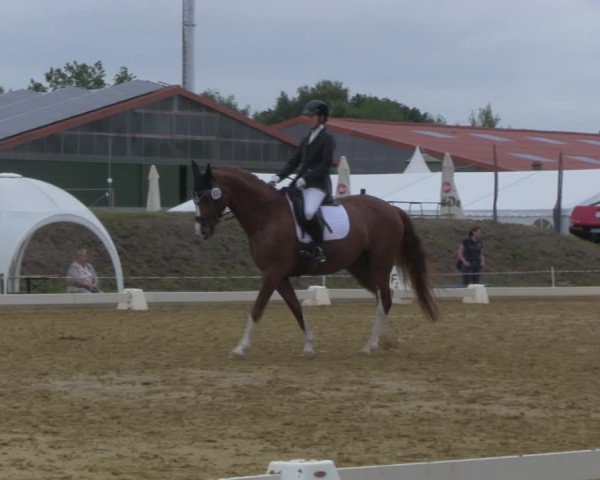 Reitturnier Vorsfelde 2019