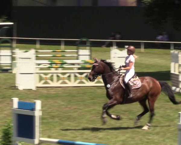 Reitturnier Vorsfelde 2019