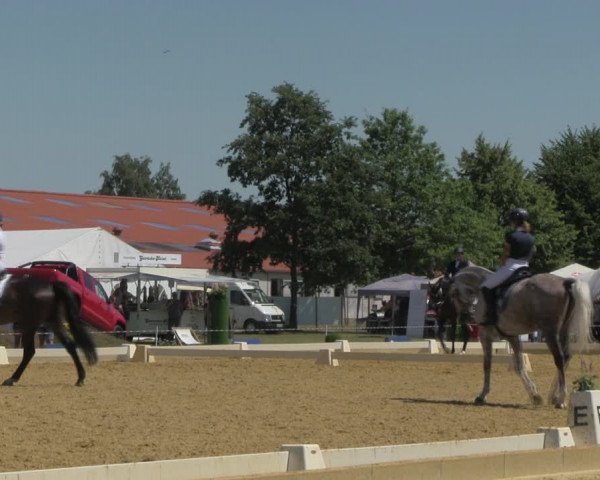 Reitturnier Vorsfelde 2019