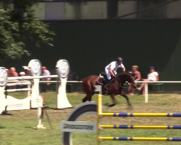 Reitturnier Vorsfelde 2019