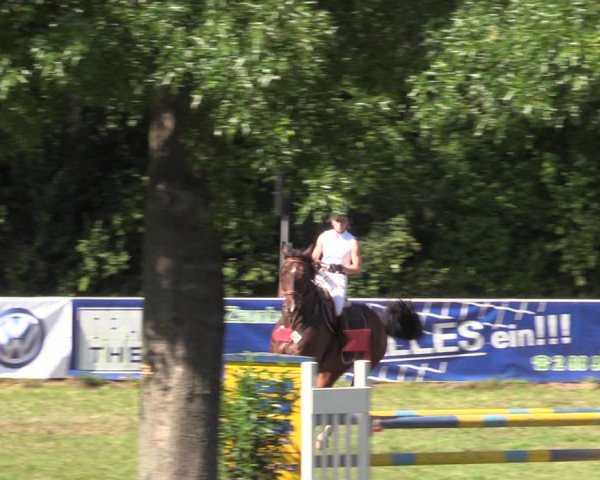 Reitturnier Vorsfelde 2019