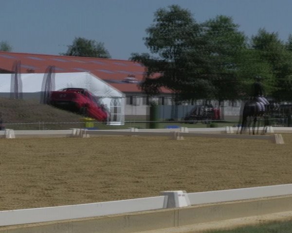 Reitturnier Vorsfelde 2019