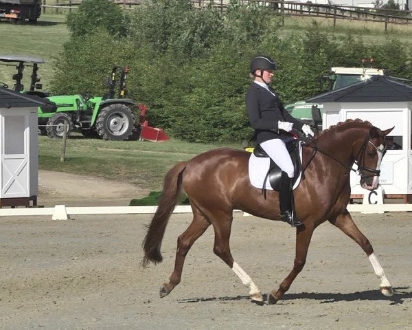 FEI Reitturnier Leudelange (LUX) 2019