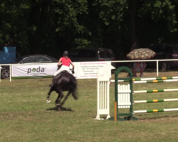 Reitturnier Vorsfelde 2019