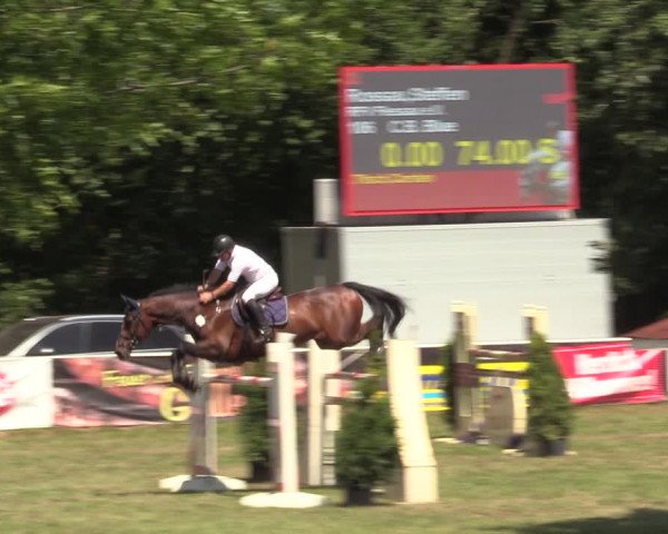 Reitturnier Vorsfelde 2019