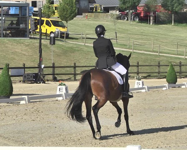 FEI Reitturnier Leudelange (LUX) 2019