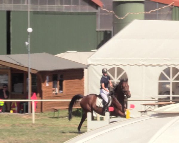 Reitturnier Vorsfelde 2019