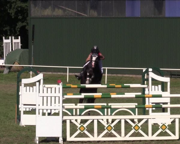 Reitturnier Vorsfelde 2019