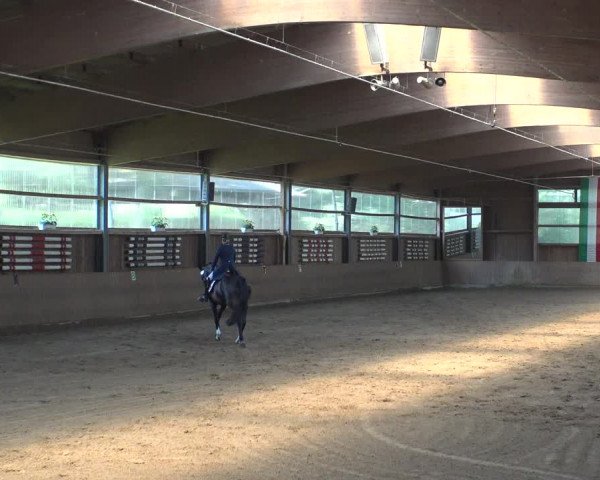 Reitturnier Schwerte-Gut Kückshausen 2019