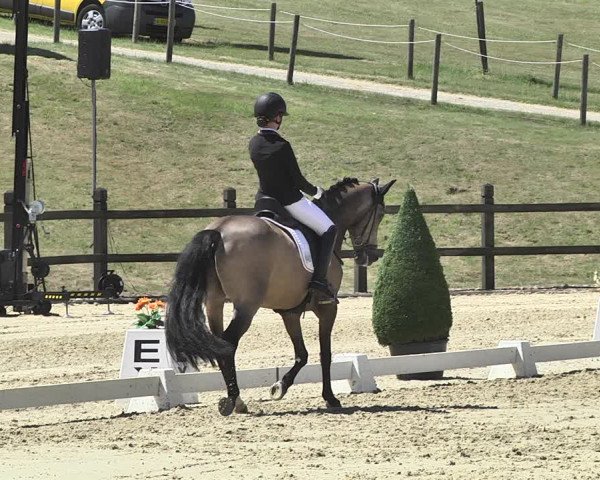 FEI Reitturnier Leudelange (LUX) 2019
