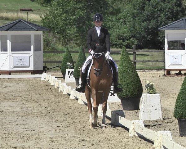 FEI Reitturnier Leudelange (LUX) 2019