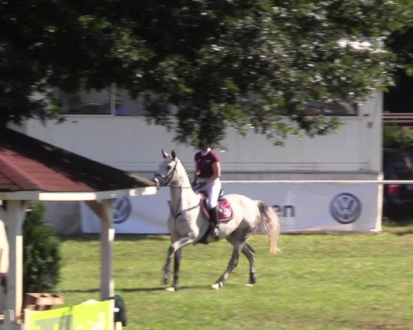 Reitturnier Vorsfelde 2019