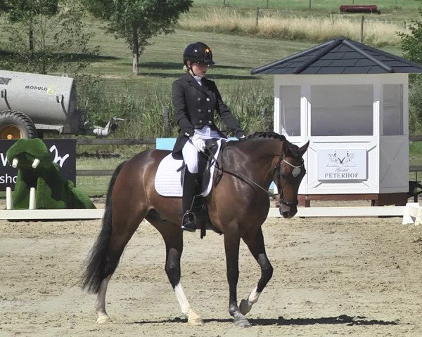FEI Reitturnier Leudelange (LUX) 2019