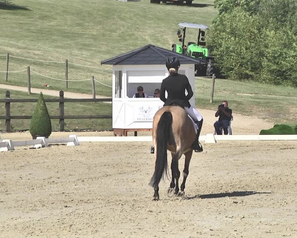 FEI Reitturnier Leudelange (LUX) 2019