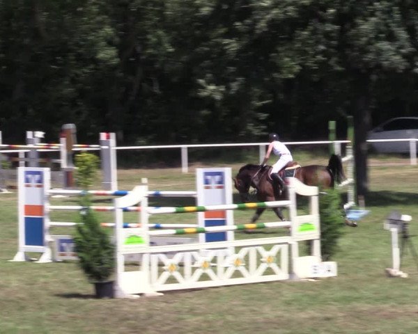 Reitturnier Vorsfelde 2019