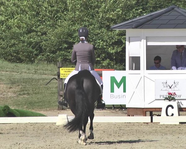 FEI Reitturnier Leudelange (LUX) 2019