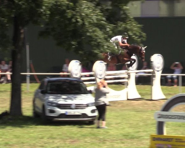 Reitturnier Vorsfelde 2019