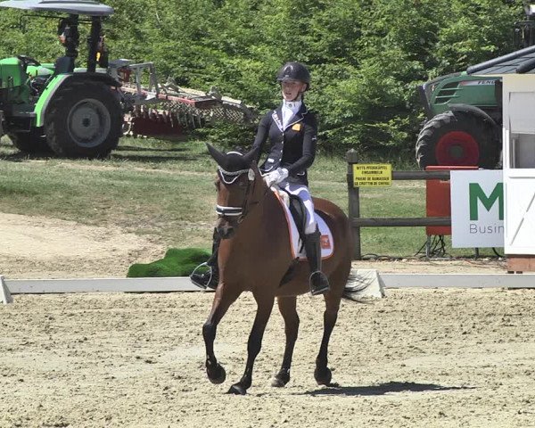FEI Reitturnier Leudelange (LUX) 2019