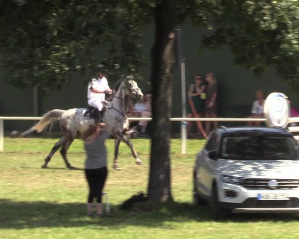 Reitturnier Vorsfelde 2019
