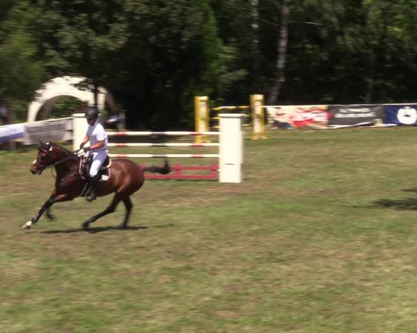 Reitturnier Vorsfelde 2019
