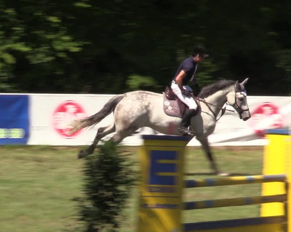 Reitturnier Vorsfelde 2019