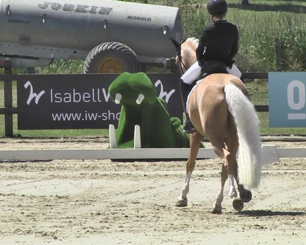 FEI Reitturnier Leudelange (LUX) 2019