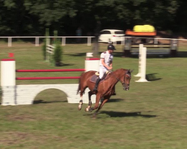Reitturnier Vorsfelde 2019