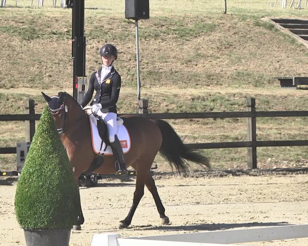FEI Reitturnier Leudelange (LUX) 2019