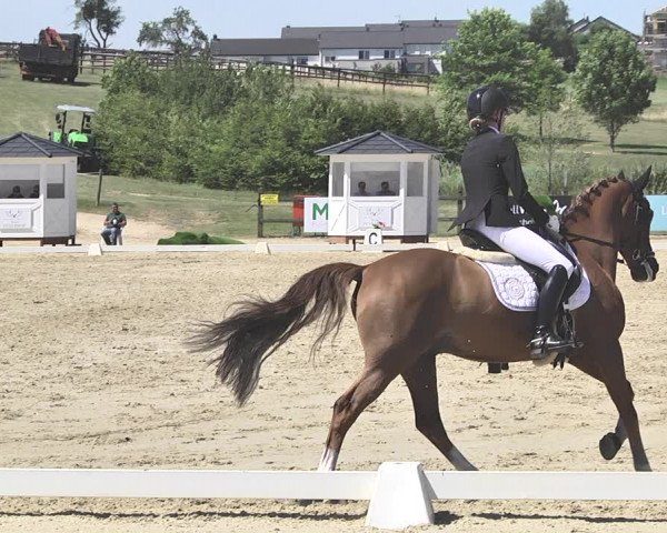 FEI Reitturnier Leudelange (LUX) 2019