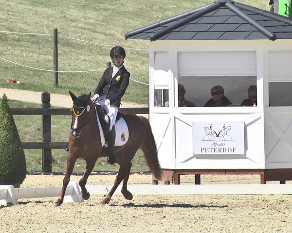 FEI Reitturnier Leudelange (LUX) 2019