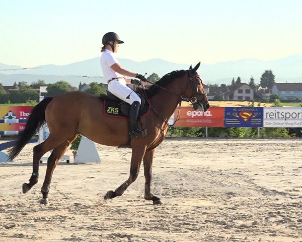 Reitturnier Möhlin 2019