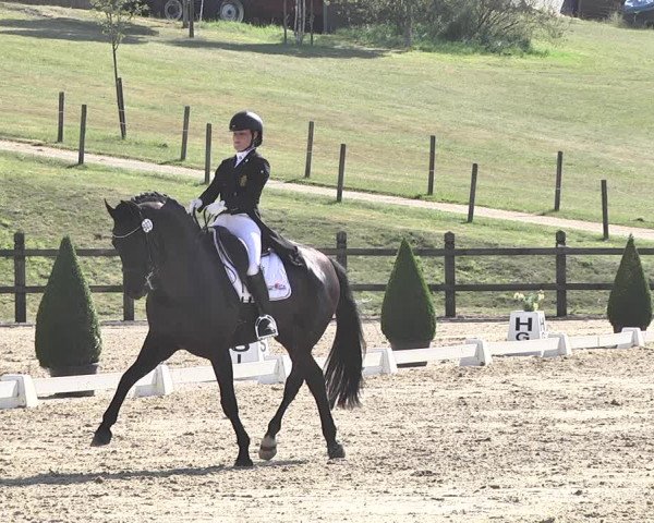 FEI Reitturnier Leudelange (LUX) 2019
