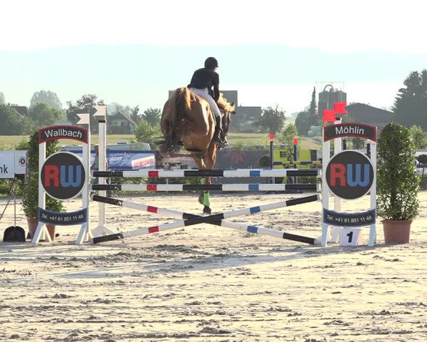 Reitturnier Möhlin 2019