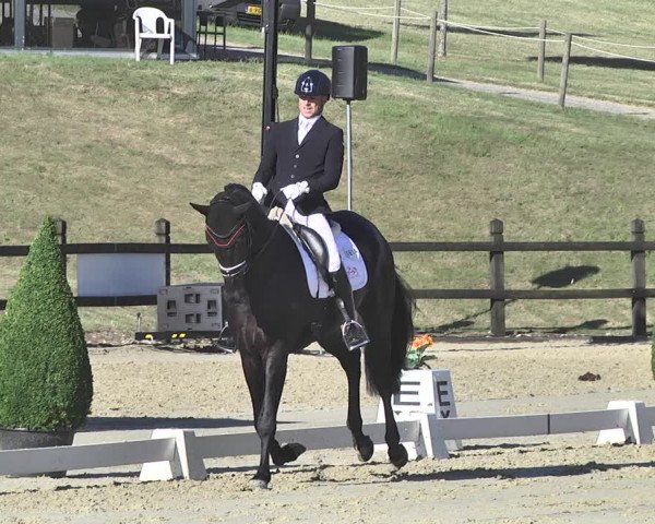 FEI Reitturnier Leudelange (LUX) 2019