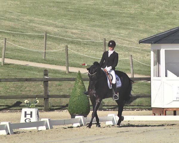 FEI Reitturnier Leudelange (LUX) 2019