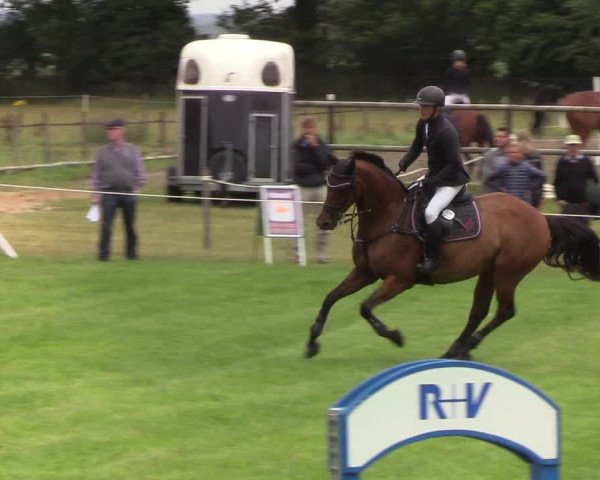Reitturnier Hanerau-Hademarschen 2019