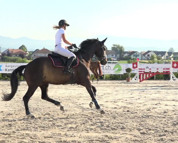 Reitturnier Möhlin 2019