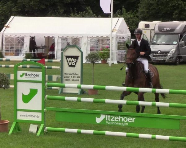 Reitturnier Hanerau-Hademarschen 2019