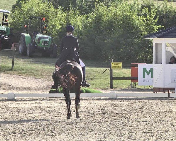 FEI Reitturnier Leudelange (LUX) 2019