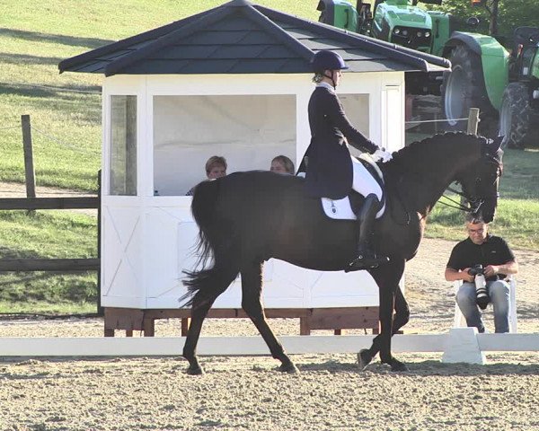 FEI Reitturnier Leudelange (LUX) 2019
