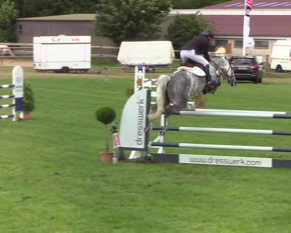 Reitturnier Hanerau-Hademarschen 2019