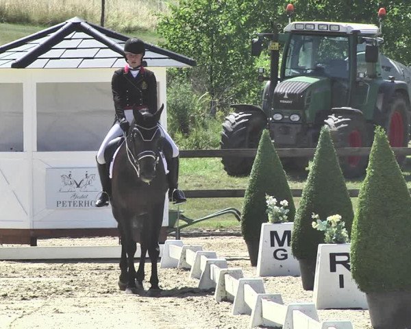 FEI Reitturnier Leudelange (LUX) 2019