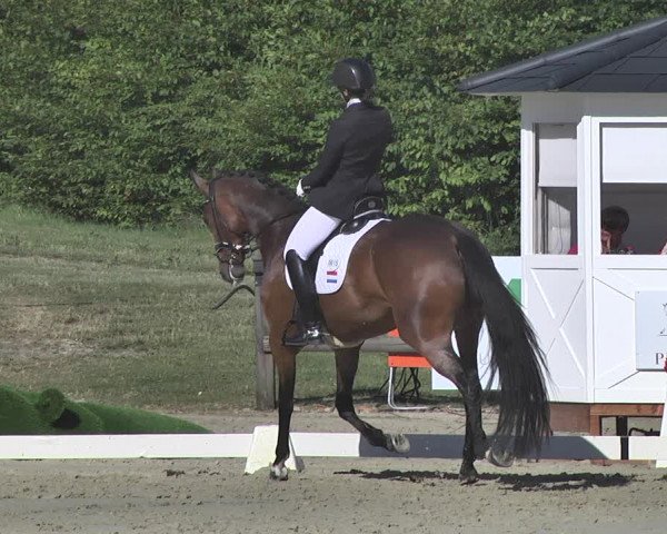 FEI Reitturnier Leudelange (LUX) 2019