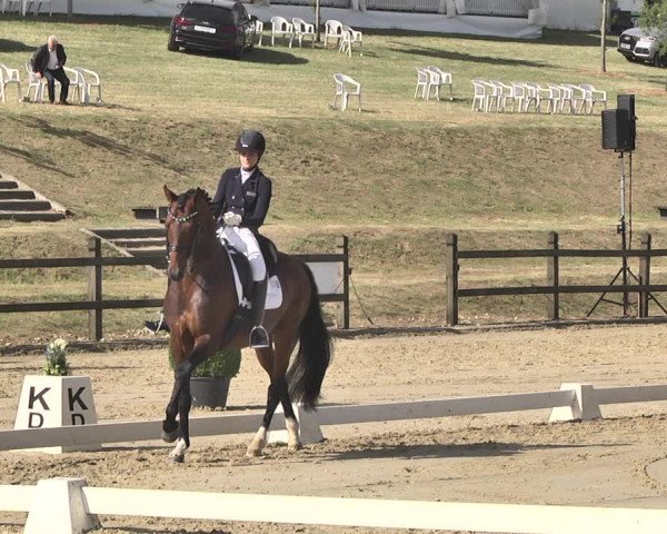 FEI Reitturnier Leudelange (LUX) 2019
