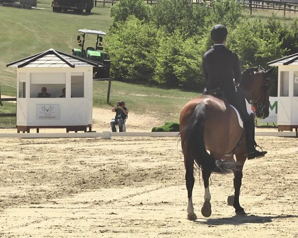 FEI Reitturnier Leudelange (LUX) 2019