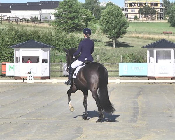 FEI Reitturnier Leudelange (LUX) 2019