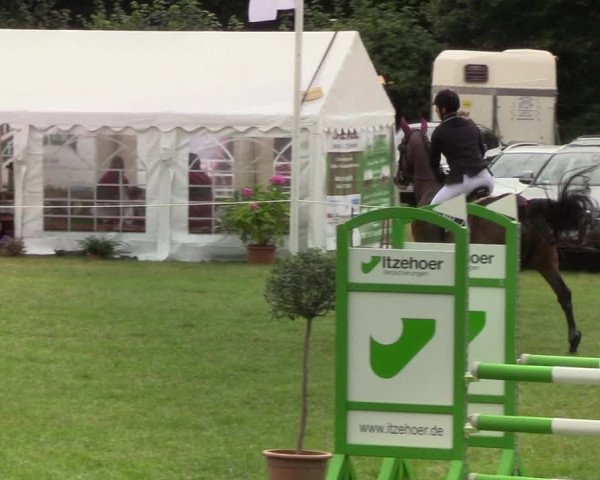 Reitturnier Hanerau-Hademarschen 2019