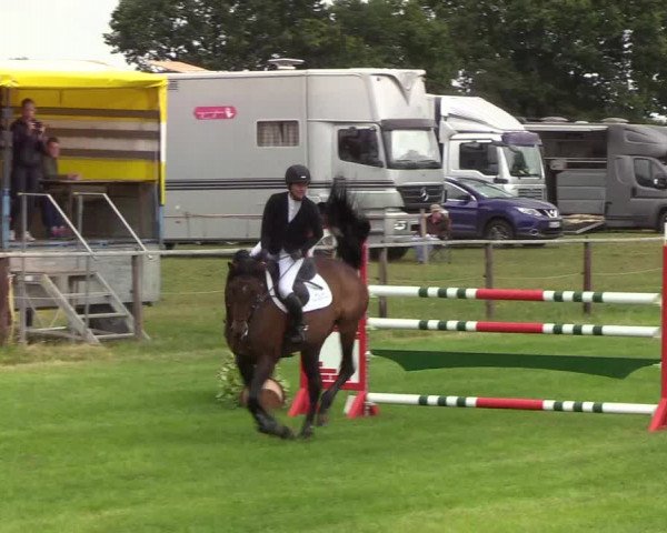 Reitturnier Hanerau-Hademarschen 2019