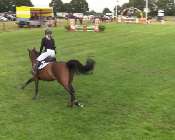 Reitturnier Hanerau-Hademarschen 2019
