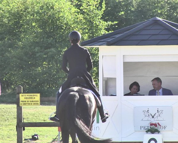 FEI Reitturnier Leudelange (LUX) 2019